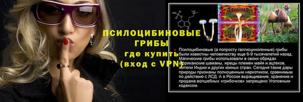 мет Алексин