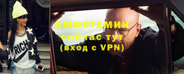 мет Алексин