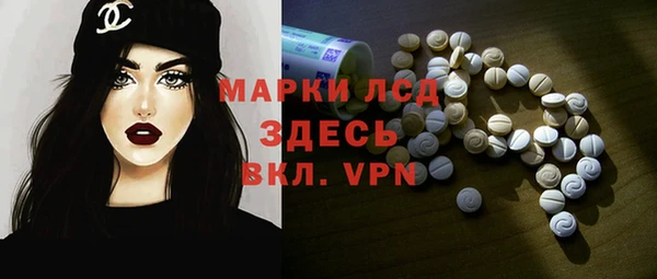 прущие грибы Сатка