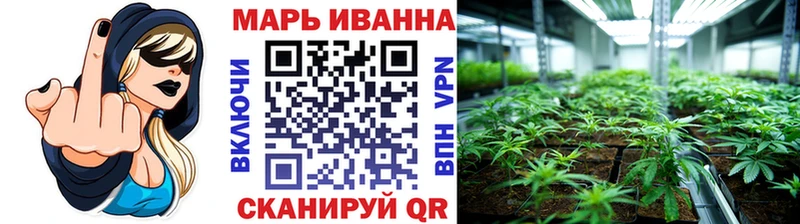 Бошки марихуана Bruce Banner как найти наркотики Закаменск